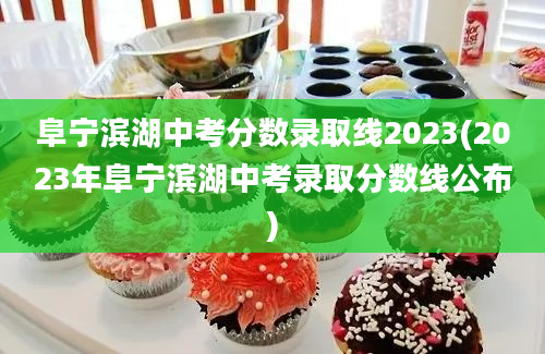 阜宁滨湖中考分数录取线2023(2023年阜宁滨湖中考录取分数线公布)