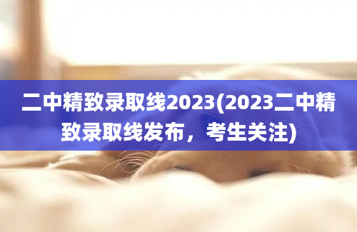 二中精致录取线2023(2023二中精致录取线发布，考生关注)