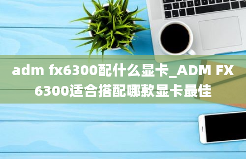 adm fx6300配什么显卡_ADM FX6300适合搭配哪款显卡最佳
